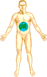 Тело как Земля - 3955 B