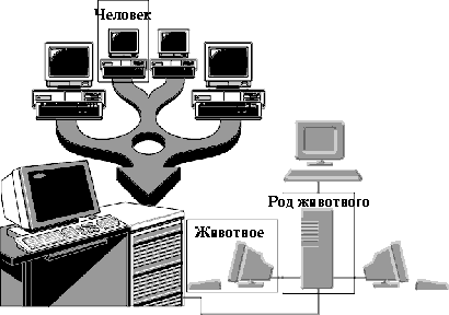 Сети ума как компьютерные сети - 8674 B